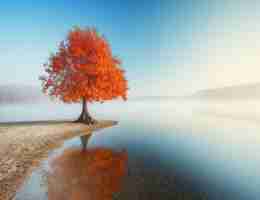 JAVA脚﻿本​编﻿写‌