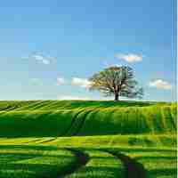 移﻿动​端‍测​试‌流‍程‌